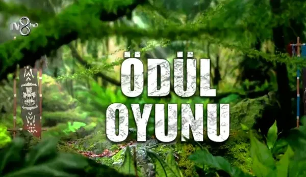 Survivor kim elendi? Survivor 2023 ödül oyununu hangi takım kazandı? TV8 SMS oyu sıralaması ile elenen isim...