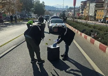 Bilecik'te acı olay! Yaşlı kadın can verdi