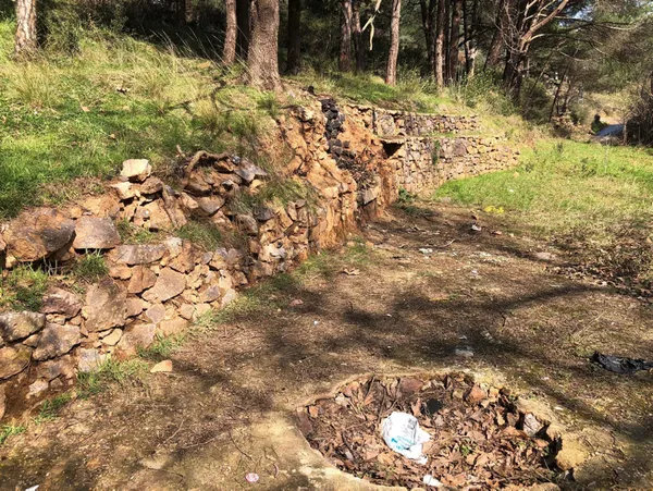 Şehitlere büyük saygısızlık! İBB kontrolündeki tarihi tekkeden utandıran görüntüler