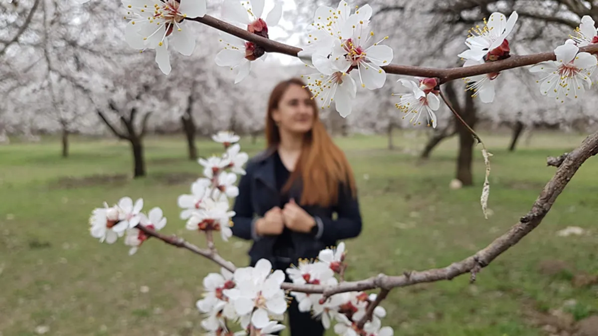 Görenleri mest etti! Kartpostallık görüntüler