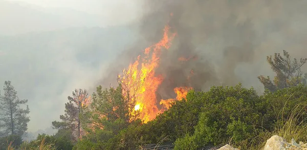 İzmir’de askeri kışlaya yönelik sabotaj girişimi! Ateşe verdiler...