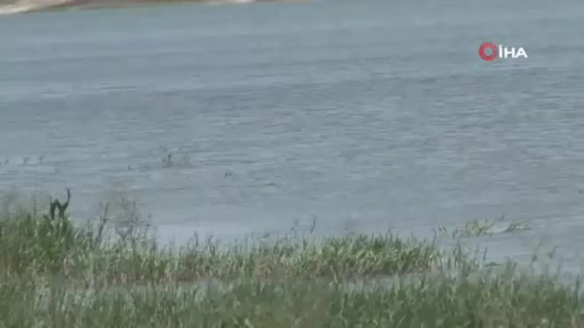 İstanbul’un barajlarında doluluk yüzde 61.03, uzmanlar uyarıyor: “Buharlaşma hat safhada”