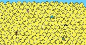 Çözebilen yok denecek kadar az!