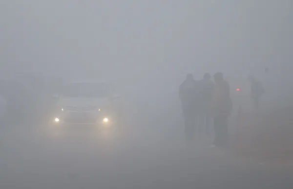 Türkiye'ye kutup kapısı açılıyor ❄ Karda yürüyüp iziniz belli olmayacak çünkü aralıksız yağacak ⛄ İstanbul ve Ankara'ya kar yağışı için tarih verildi - 21