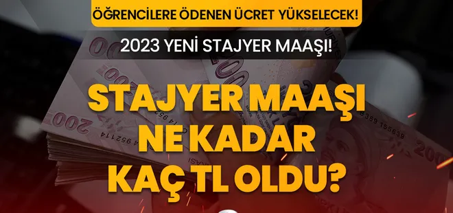 Stajyer maaşı ne kadar oldu? Öğrenci staj parası ne kadar zamlandı? 2023 TEMMUZ STAJYER ÜCRETİ!
