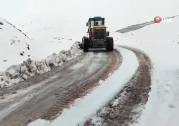 Siirt Pervari'de karda araçlar yolda mahsur kaldı