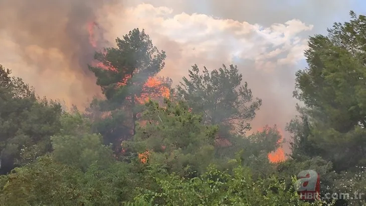 Muğla’da orman yangını | Köyceğiz’e havadan ve karadan müdahale: Denizli sınırına yaklaştı