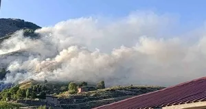 Bingöl’de ağaçlık alanda korkutan yangın