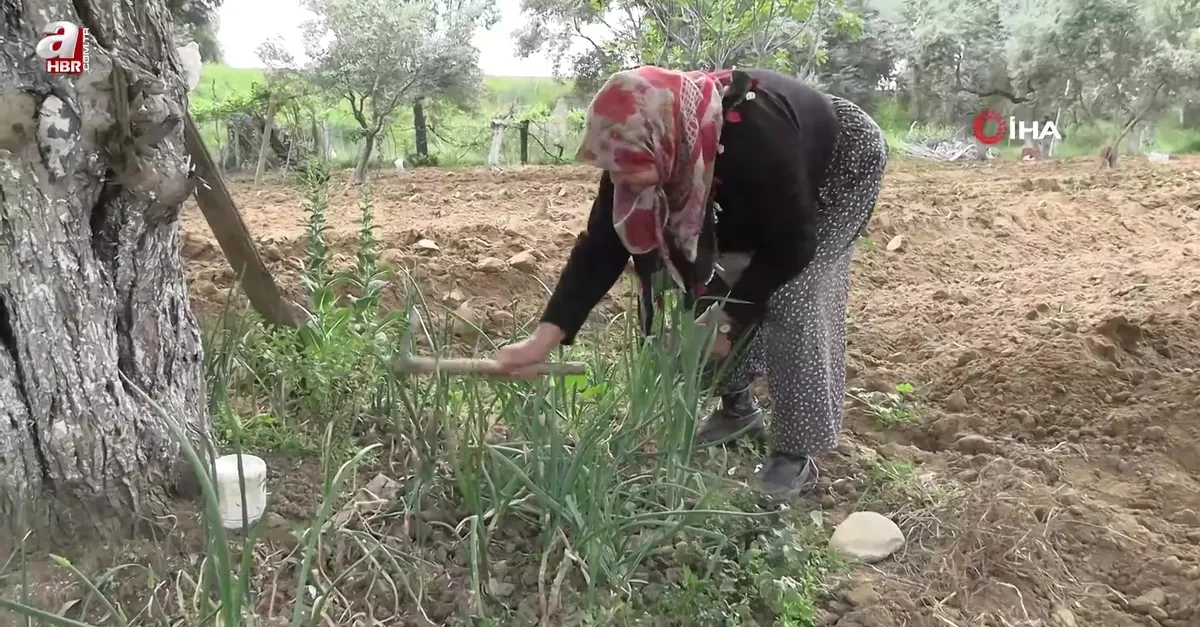 Mutluluğu toprakta buldular