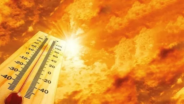 el-nino-kabusu-basladi-dunyanin-en-sicak-yili-olacak-1686249995061.jpg El Nino kabusu başladı: Dünyanın en sıcak yılı olacak… - 1