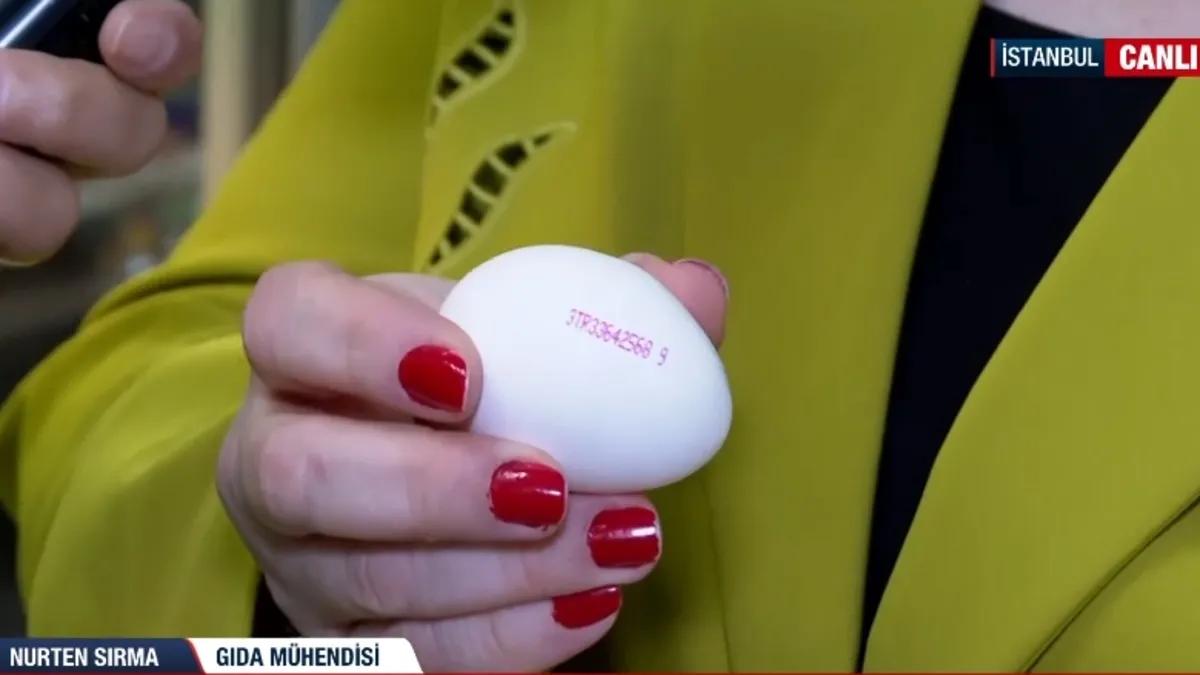 Yumurta fiyatları son 9 ayda ikiye katlandı! Fiyatlarla kim oynuyor?