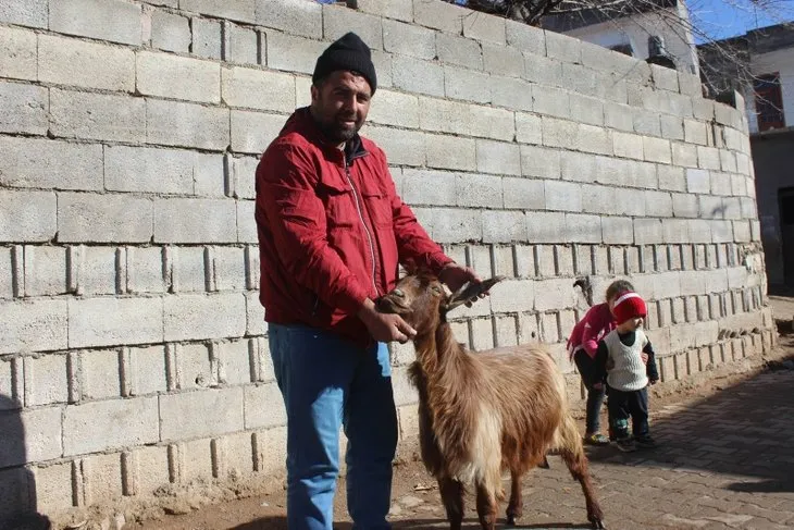 Ahırın kapısını açtı gözlerine inanamadı 🐄 Buzağıyı görünce hemen telefona sarıldı