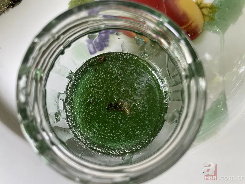 Kovandan çıkan bal görenleri şaşkına çevirdi! Kilosu 20 bin TL... 10