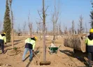 Dünyada 5. Türkiyede 1. sırada