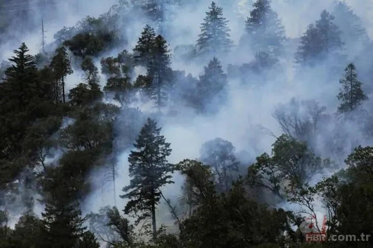 ABD’de dev orman yangını! 85 kilometrekarelik alan alevlere teslim