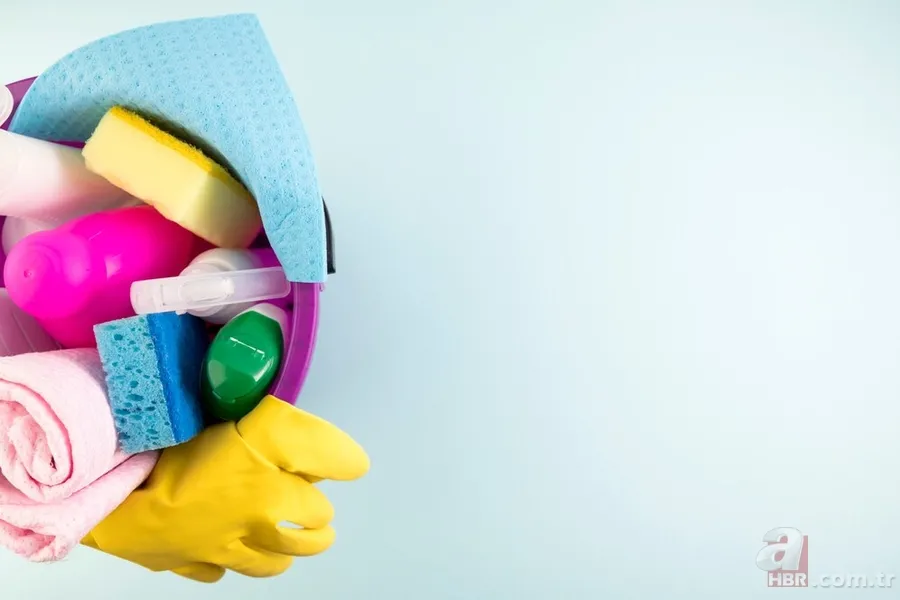 Hamam böcekleri neden eve geliyor? İşte cevabı 6