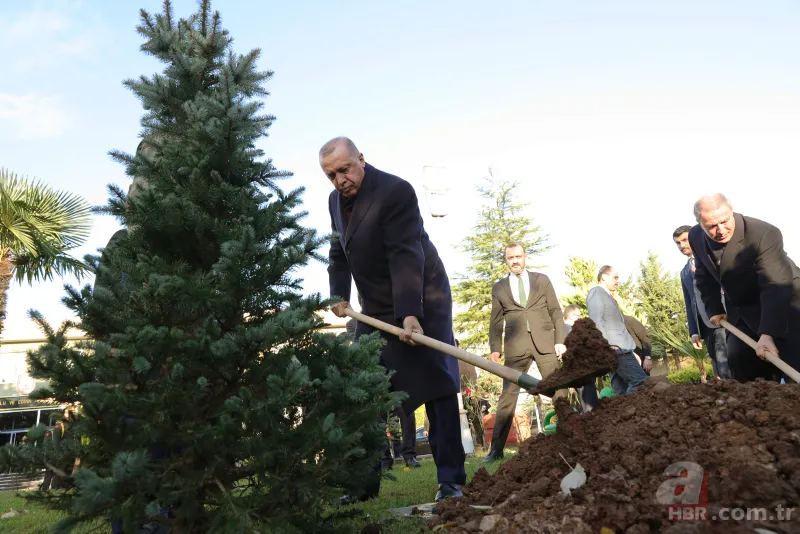 Başkan Erdoğan İstanbul İkmal Maliye Okulu ve Eğitim Merkezi Komutanlığı'na fidan dikti 10