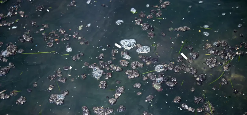 CHP'li Tunç Soyer'in yüzme hayali suya düştü! Uzman isimden korkutan uyarı: Eğer önlem alınmazsa...