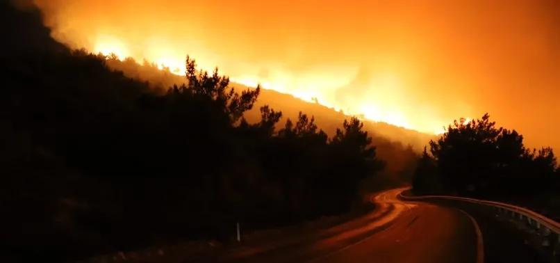 Son Dakika Tarim Ve Orman Bakani Bekir Pakdemirli Den Izmir Yangini Ile Ilgili Aciklama Bir Kisi