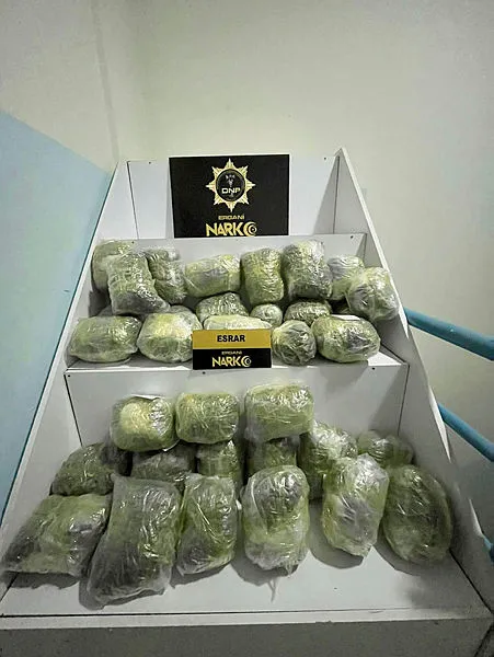 diyarbakirda-21-kilogram-esrar-ele-gecirildi-1668802569773.jpg Diyarbakır'da esrar ele geçirildi - 1