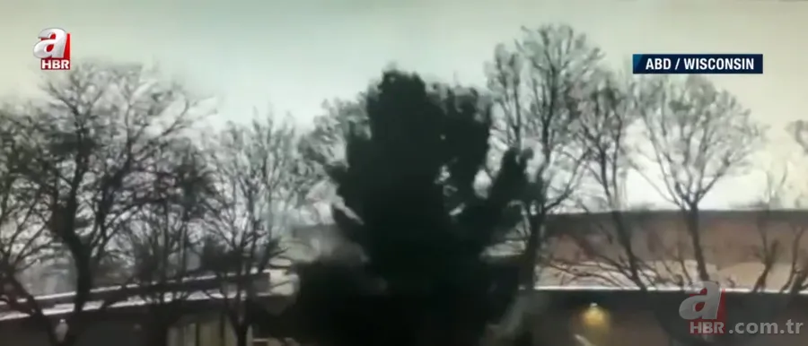 Lise bahçesindeki ağaca yıldırım düştü! 6 metrelik ağaç ortadan ikiye ayrıldı 4