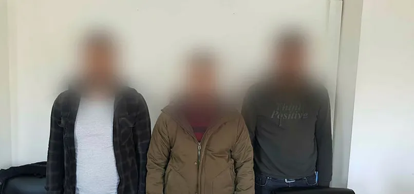 İçişleri Bakanlığı açıkladı: Teslim oldular