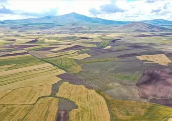 Arsa ve tarlaya talep patladı satış rakamları rekor kırdı! Uzmanlardan 10 öneri! Bakmadan sakın almayın