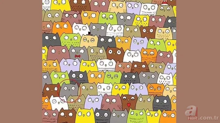 Sadece yüzde 1’lik kesim gördü! 7 saniyede baykuşların arasındaki kediyi bulun 5