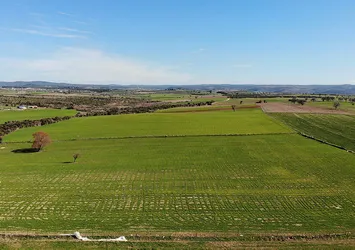 Arsaya yoğun talep! Arsalara talep neden artıyor, hangi bölgeler tercih ediliyor?