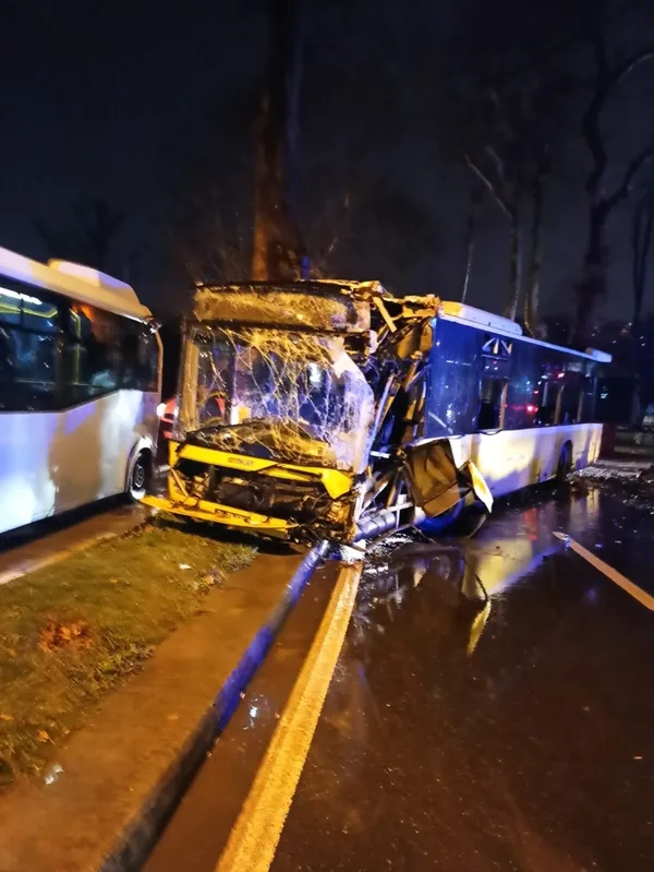1674324059137.jpg İETT asırlık ağaca tosladı: 7 kişi yaralandı - 1