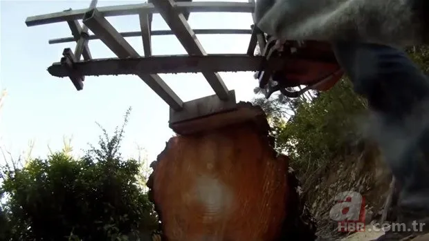 Yol yapımı sırasında bulundu! Milyonlarca yıllık… 23