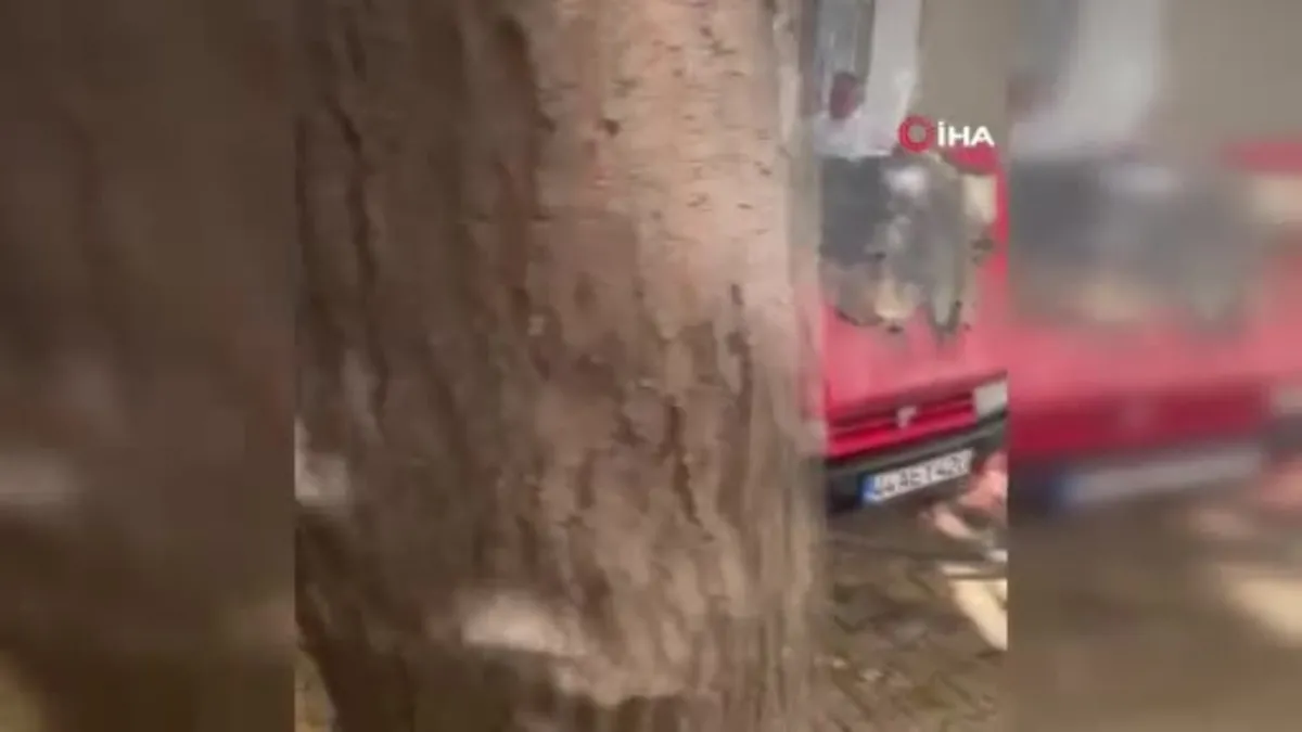 Elazığ’da park halindeki araç alev aldı