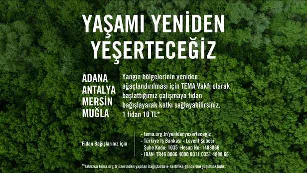 Fidan bağışı nasıl yapılır? TEMA 1 fidan fiyatı kaç TL? Yangın bölgeleri için fidan bağışı nasıl yapılır?