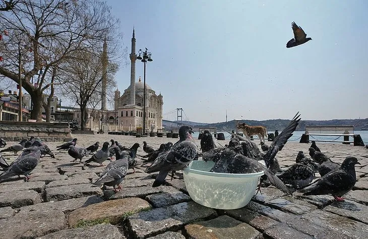 Son dakika: Bayramda sokağa çıkma yasağı var mı? Ramazan Bayramı’nda dışarı çıkma yasağı olacak mı?