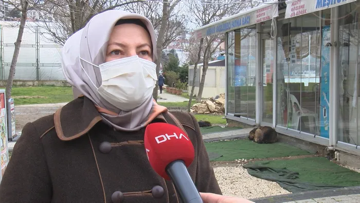 Büyükçekmece Sahili’nde esnafın 15 günde üçüncü kez dükkanı mühürlendi! CHP'li belediyeye ve İBB'ye isyan ettiler - 3