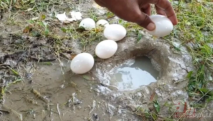 Çiğ yumurta ile balık avlama yöntemi olay oldu! Dünya böyle taktik görmedi