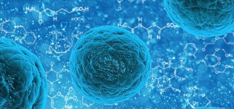 Koronavirüsten sonra şimdi de noravirüs! Noravirüs nedir? Belirtileri nelerdir? Nasıl bulaşır?