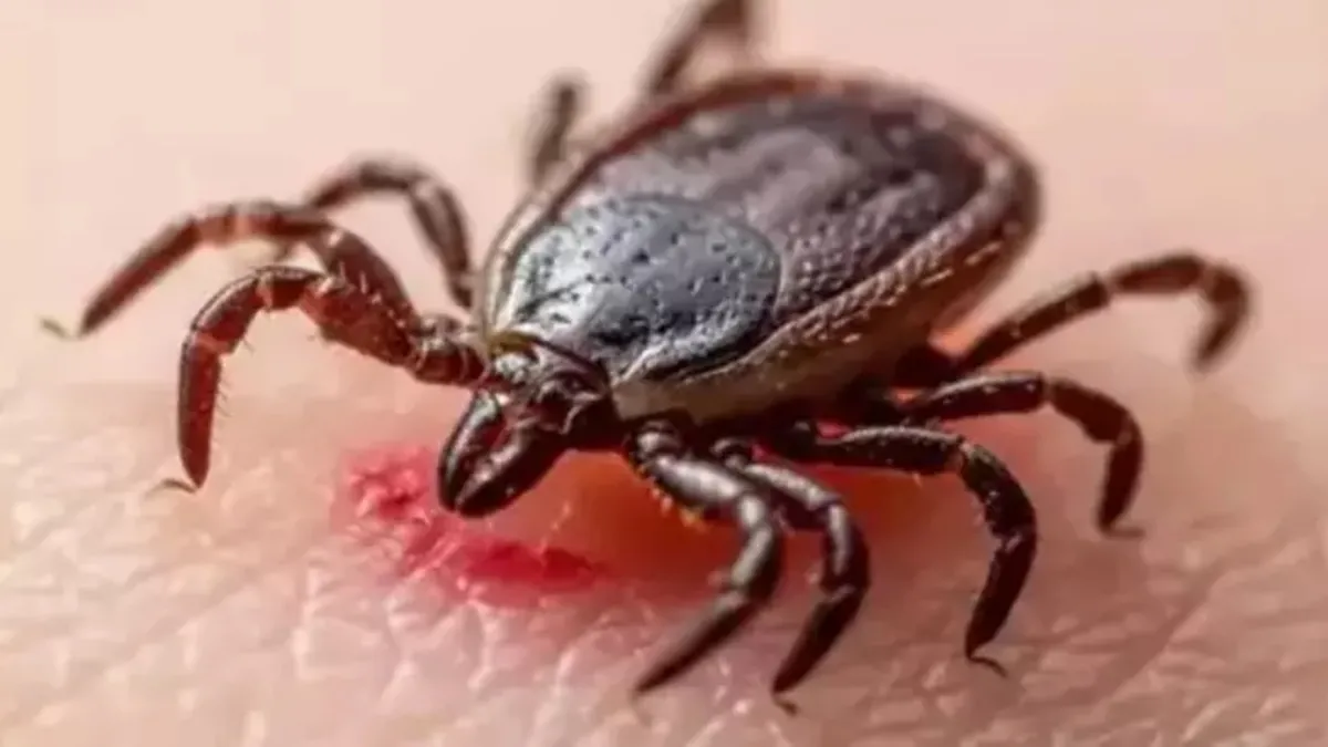 Uzmanından keneye karşı "dışarıda uyumayın" uyarısı