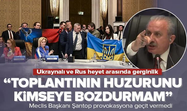 Ukrayna heyetinin eylemine müdahale!