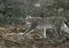 Yol çalışmaları sırasında görüntülendi!