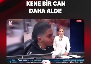 KENE BİR CAN DAHA ALDI!