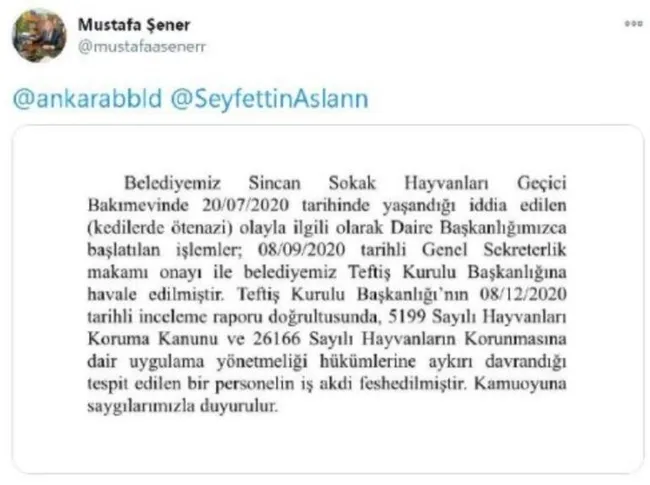 Ankara’da belediye bakımevinde ’20 kediye ötanazi’ yapıldı! Personelin iş akdi sonlandırıldı
