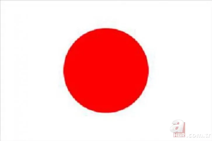 Dünyada en çok konuşulan diller belli oldu! Bakın Türkçe kaçıncı sırada! 19