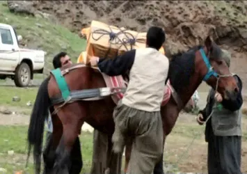 PKK'nın finans kaynaklarına darbe