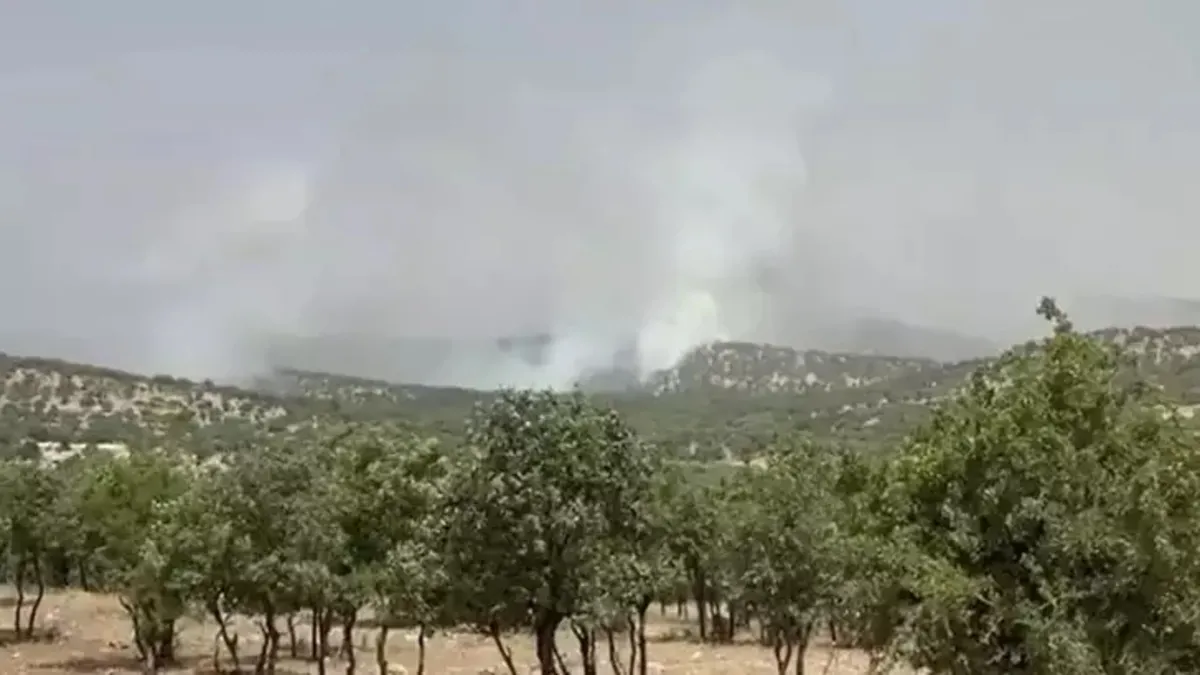 Mardin'de orman yangını