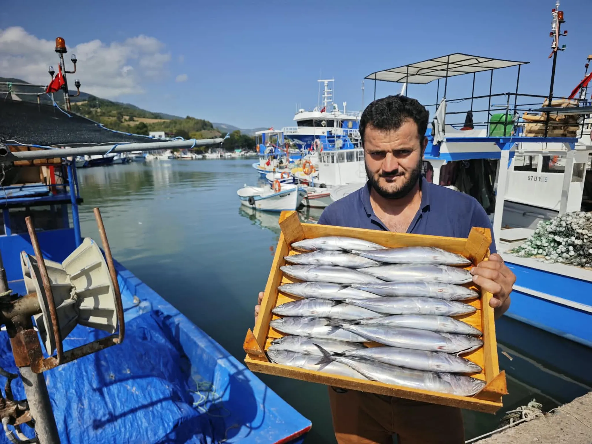 Karadeniz’de sezonun ilk balık bereketi: Fiyatlar geriledi!