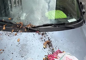 6 katlı binadan atılan çöp aracın camını kırdı! O anlar kamerada