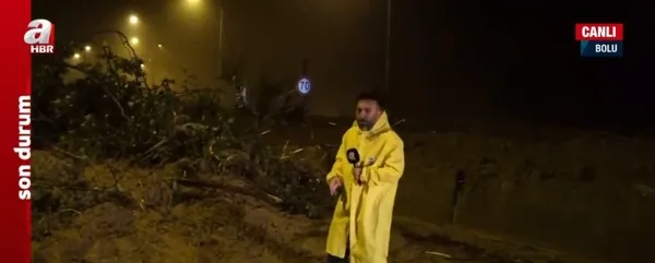 TEM Otoyolu’nda heyelan! Ankara - İstanbul yönü trafiğe kapandı | Ulaştırma Bakanı Abdulkadir Uraloğlu: Araçlar için önlem aldık