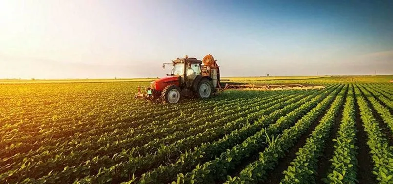 Ucuz gıda için dev üretim hamlesi! Tüm kurumlar harekete geçti