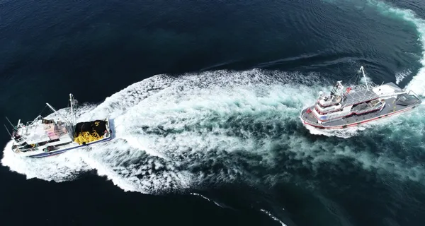 Son dakika: Tezgahlar hazır balık sezonu açıldı! Tarım ve Orman Bakanı Vahit Kirişçi’den balıkçılara müjde